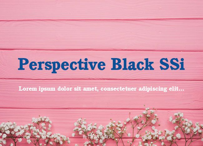 Perspective Black SSi example